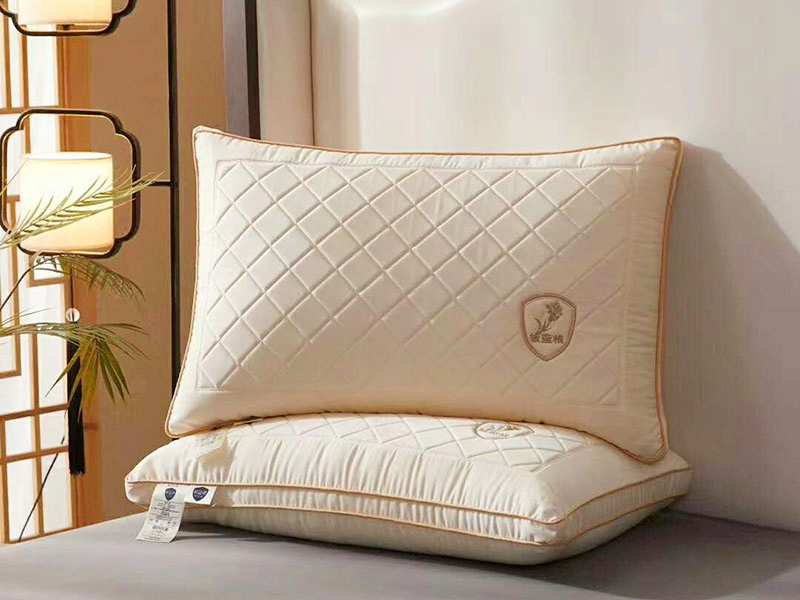 Banlangen antibacterial pillow